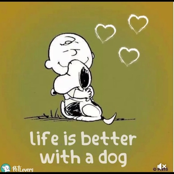 Meet your Posher, Peppered - Picture 4 of 6